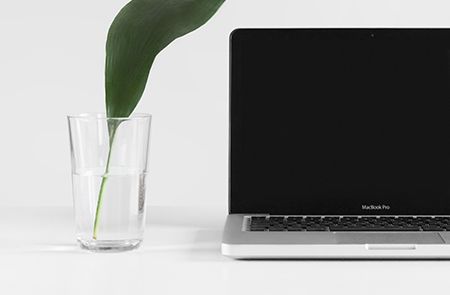 Start Your Business - businesschi